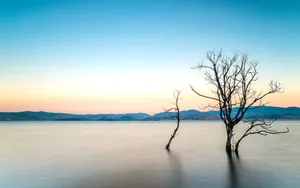 云南大理风景壁纸_3