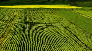 西藏柴河风景壁纸_7