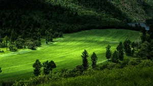 西藏柴河风景壁纸_8