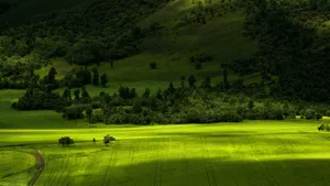 西藏柴河风景壁纸_9
