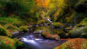 高清山水景色桌面壁纸_11