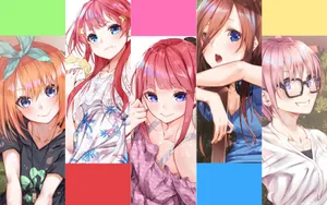 五等分的花嫁高清图片_3