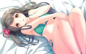 南小鸟图片壁纸_6