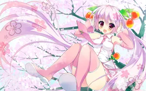樱初音_12