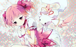 魔法少女小圆鹿目圆壁纸_16