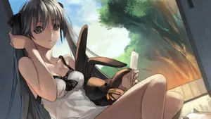 春日野穹高清壁纸_7