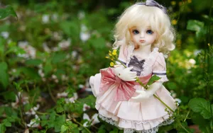 Doll少女玩偶图片壁纸_2