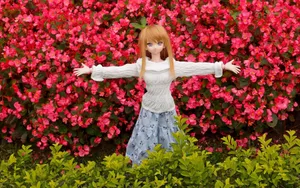Doll少女玩偶图片壁纸_7