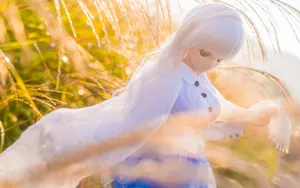Doll少女玩偶图片壁纸_13