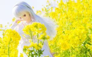Doll少女玩偶图片壁纸_14