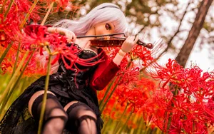 Doll少女玩偶图片壁纸_15