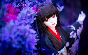 Doll少女玩偶图片壁纸_22