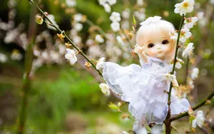 Doll少女玩偶图片壁纸_23