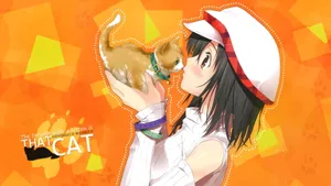 Kantoku 动漫女孩桌面壁纸_15