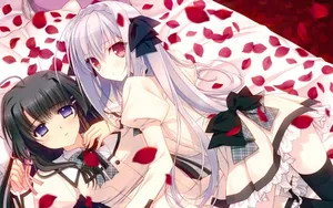 近月少女的礼仪桌面壁纸_6