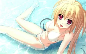 动漫美少女锦集桌面壁纸_7