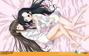 魔法老师桌面壁纸_8