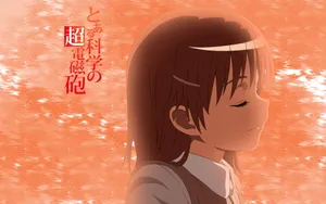 《某科学的超电磁炮》桌面壁纸_14