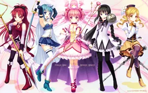 《魔法少女小圆》桌面壁纸