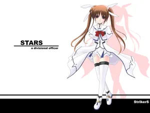 《魔法少女奈叶》桌面壁纸_10