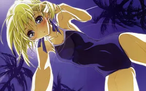 《saber》桌面壁纸
