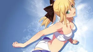 《saber》桌面壁纸_12