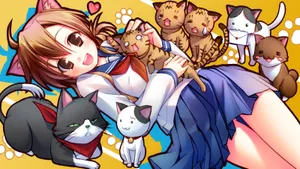 《猫愿三角恋》动漫壁纸_12