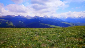 新疆喀拉峻草原风景_5