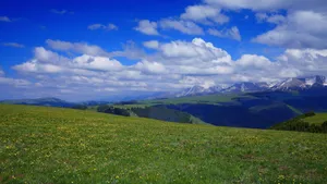新疆喀拉峻草原风景_10