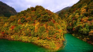 清新自然风景壁纸_7