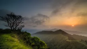 清新自然风景壁纸_8