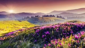 高清山水风景桌面壁纸_2