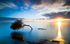 大海风景图片壁纸_5