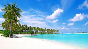 清新唯美海岸风景壁纸_7