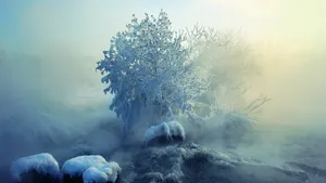 雪景图片大全_2