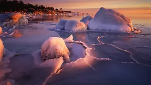 雪景图片大全_6