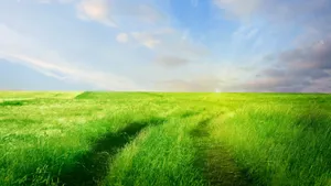 精美高清风景桌面壁纸_7