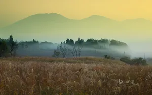 2013年Bing12月风景壁纸_4