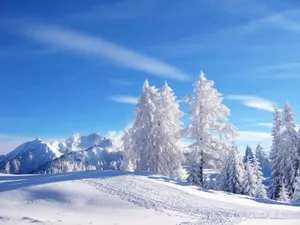 冬日雪景壁纸_4