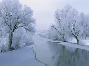 冬日雪景壁纸_10