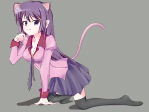 化物语桌面壁纸_18