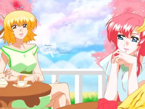 机动战士高达SEED DESTINY_8