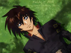 机动战士高达SEED DESTINY_11