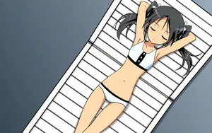 强袭魔女宽屏壁纸_2
