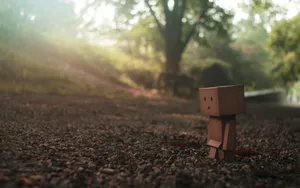 可爱纸箱人阿楞_4