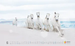 2011年6月卡通日历_14