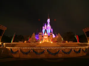 迪斯尼乐园夜景 第一辑_17