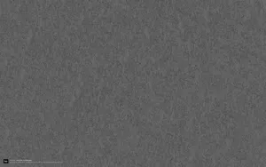 VEER选集 第二辑第1张