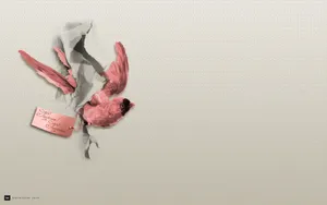VEER选集 第二辑_9