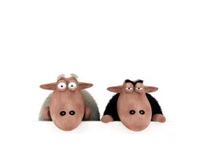 Sheeps 第二辑_5